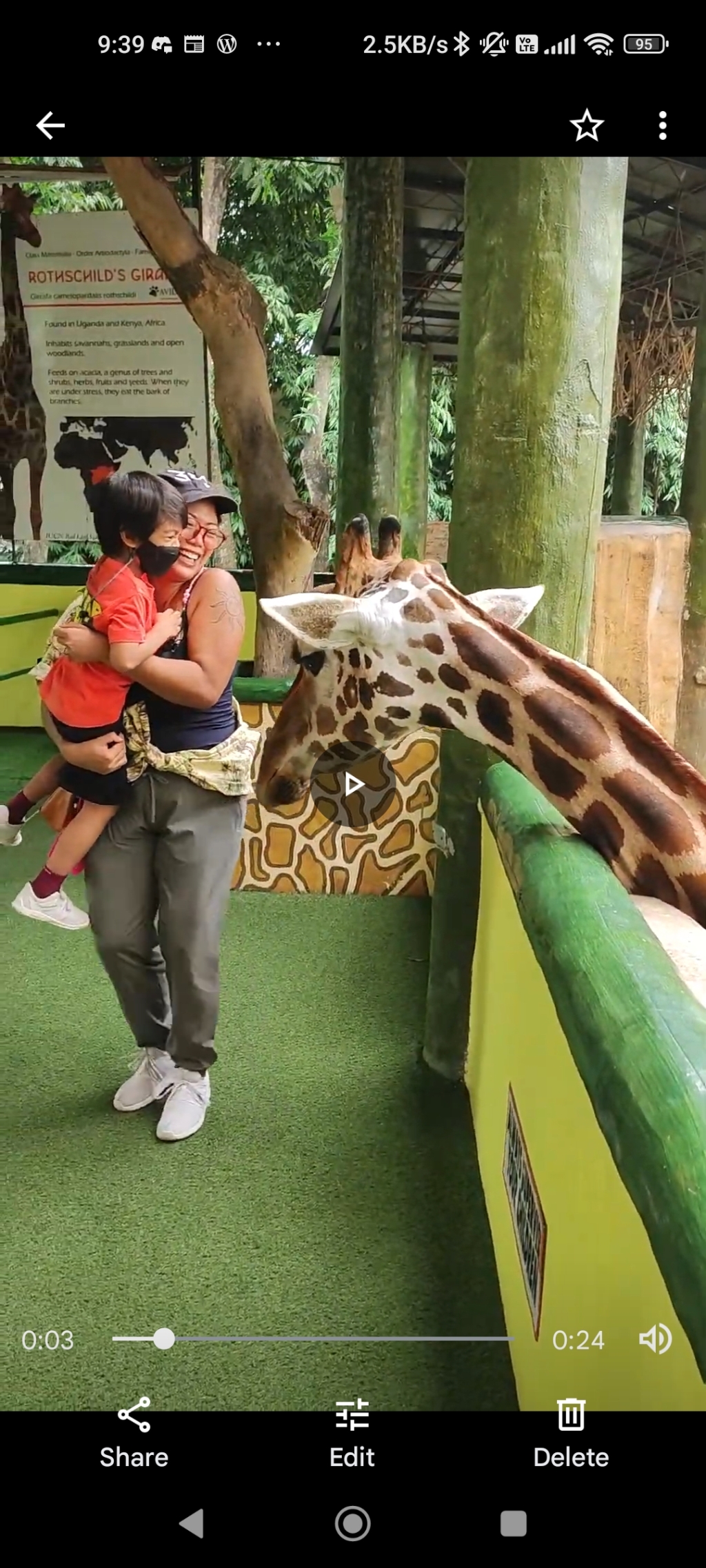 Fun with Barry the Giraffe – Avilon Zoo